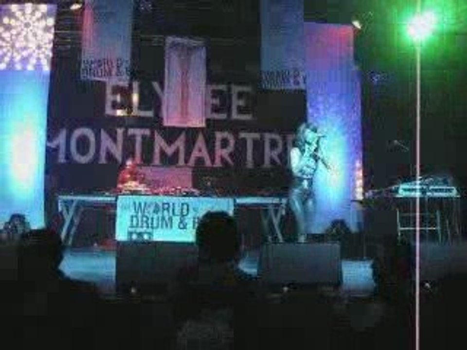 091003 Elysée Montmartre - The world of drum and bass 05