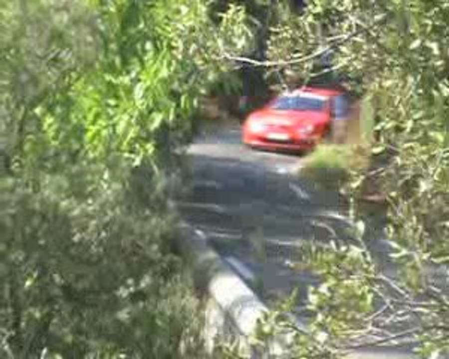 Rallye des Camisards 2009