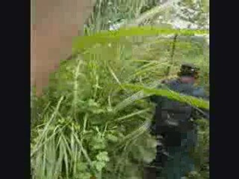 Dans la jungle du Royal Chitwan National Park (Nepal)