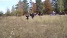 видео 10