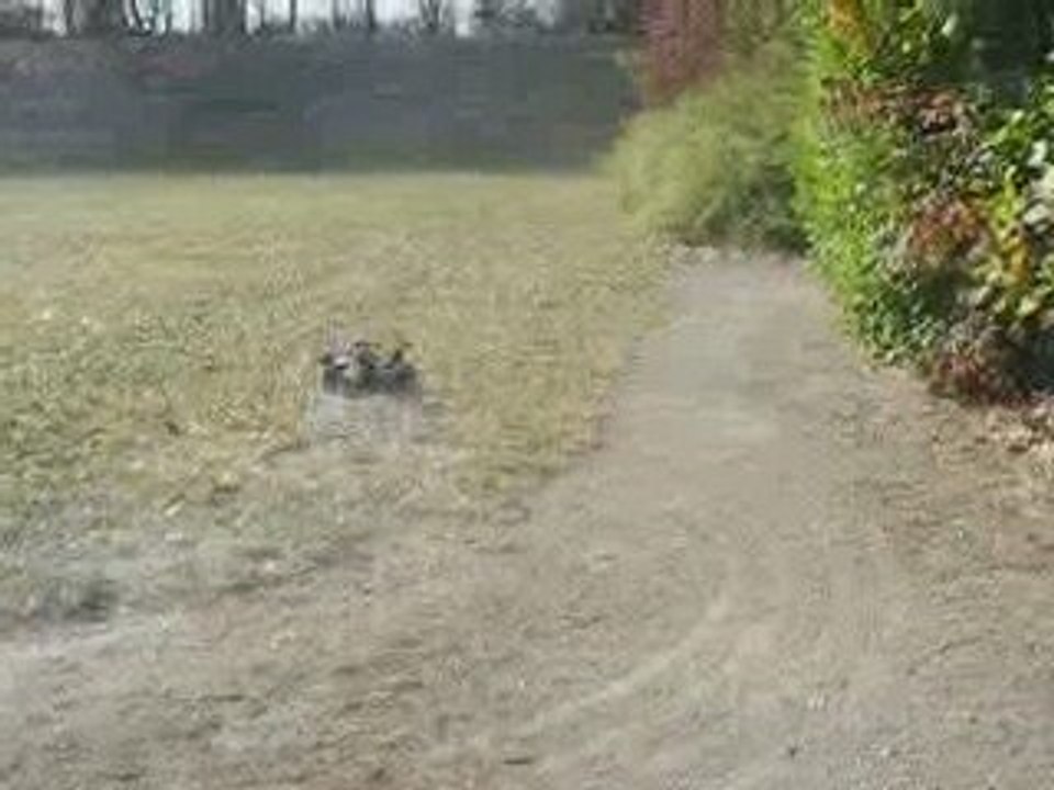 RODAGE MCD (2éme plein)