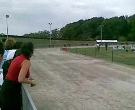 courses de chiens aujourd'hui a maulevrier