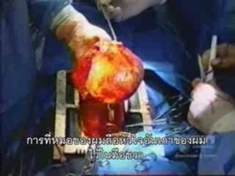 Dhammakaya Foundation (DMC TV) Robert Mawson 2 of 3