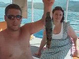 Puffer fish FINDING NEMO BOAT MARMARIS ICMELER TURKEY