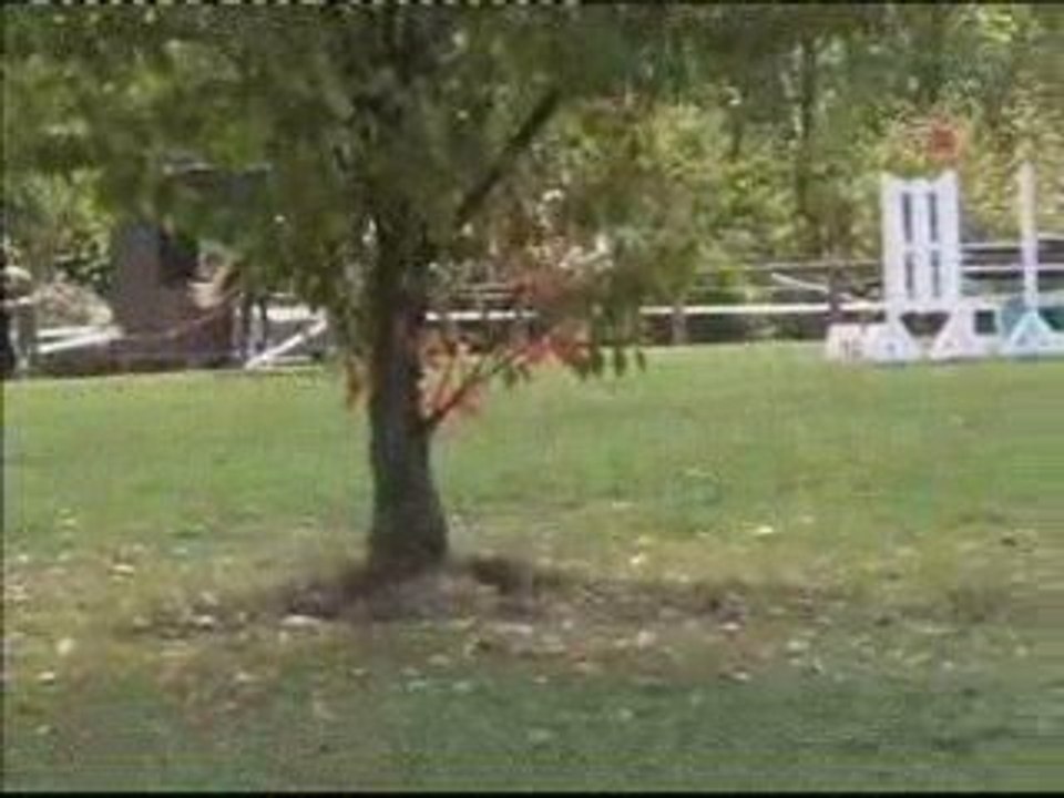 CCE Fontenay/Eure Oct-2009 : Mickaël Cornuet et Lorel