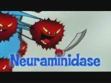 H1N1 ReCreated by CDC! 1918 FLU Virus = H1N1 = Swine Flu