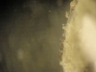 Eau expulsée par une éponge de la rivière du Hâvre