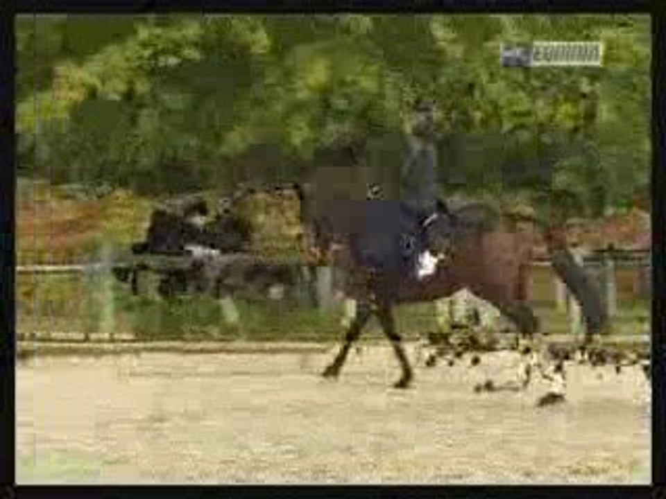 adsl TV 2007-06-04 23-41-49 Equidia