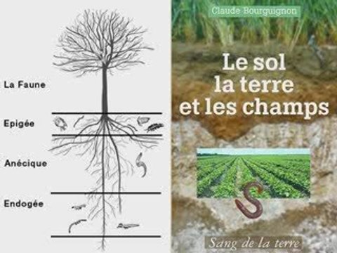 Claude et Lydia Bourguignon : LAMS 2/3