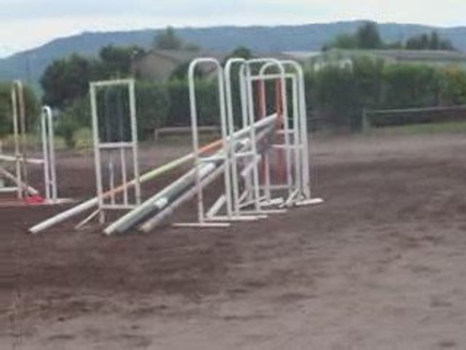 Adele parcour d'obstacle