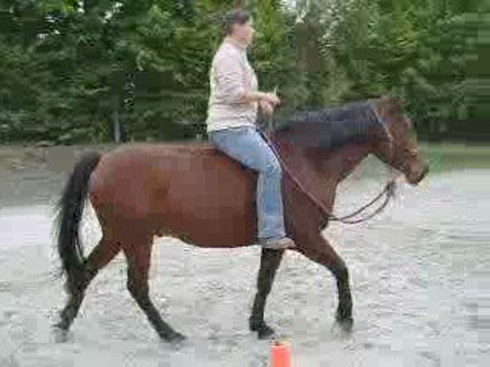 Equitation - 8 de chiffre sans les mains !