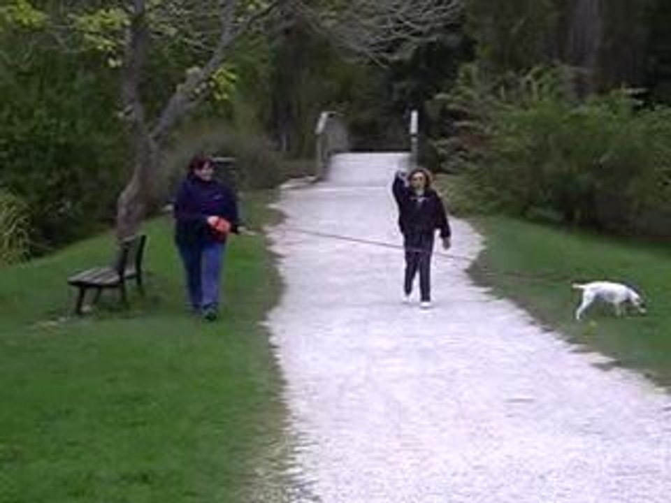 Balade au Lac de Vaivre ... (près de VESOUL)