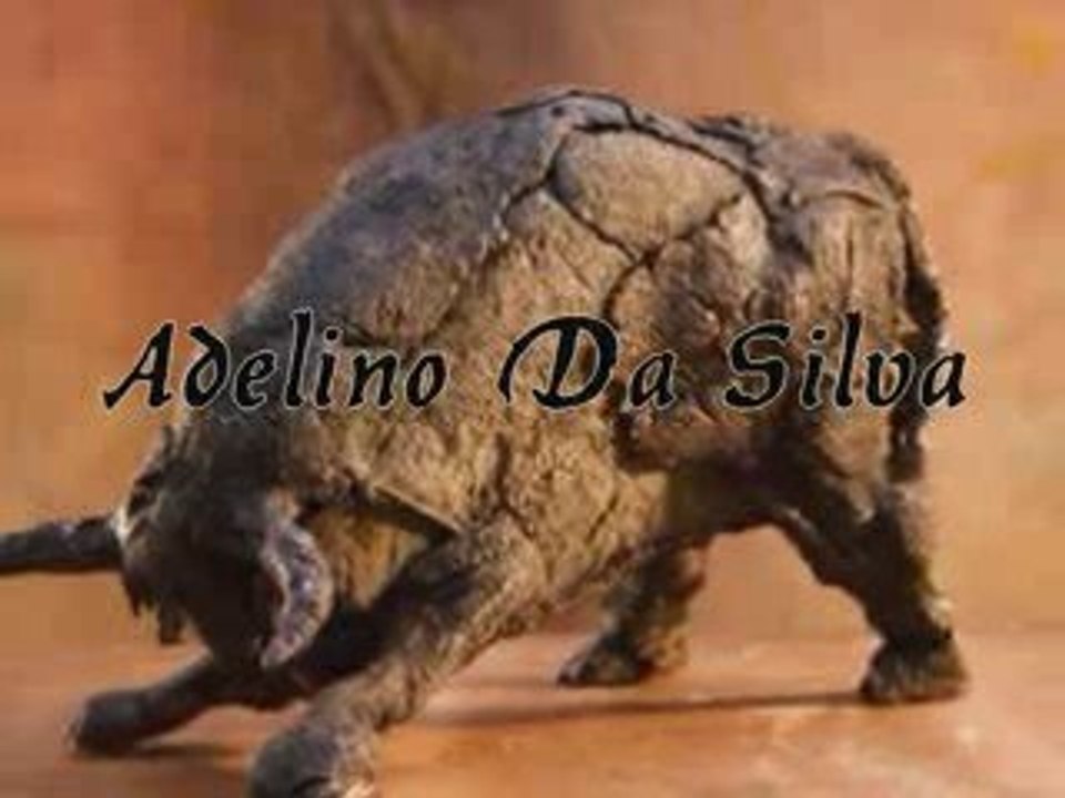 Apoyando la Tauromaquia Venezolana