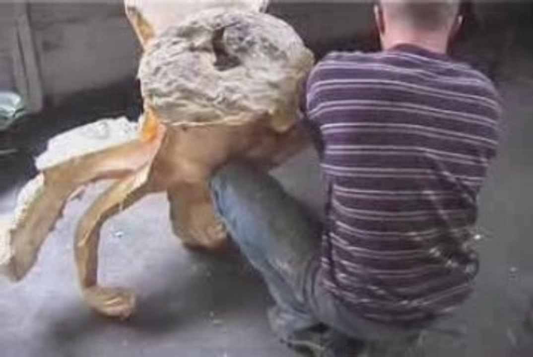 MOULAGE DE FLO...