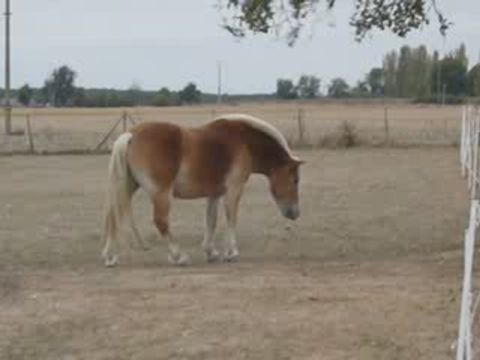 et encore gourmand