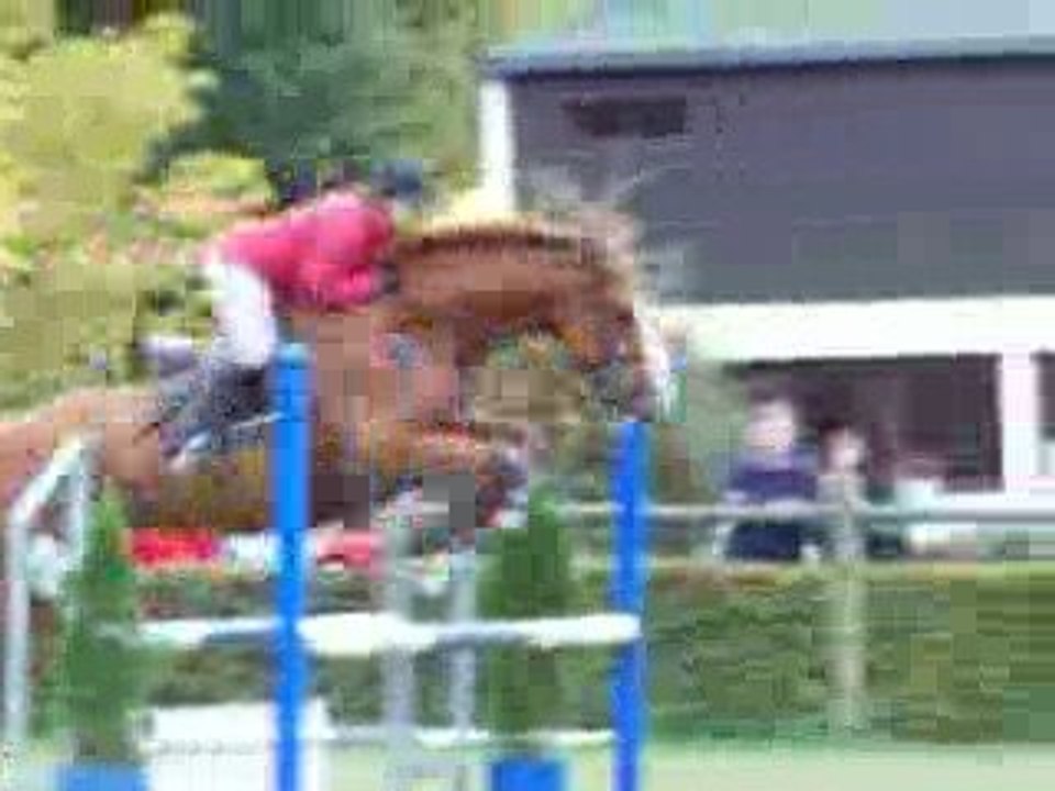 Concours Etrier Ardennais (4 octobre 2009)