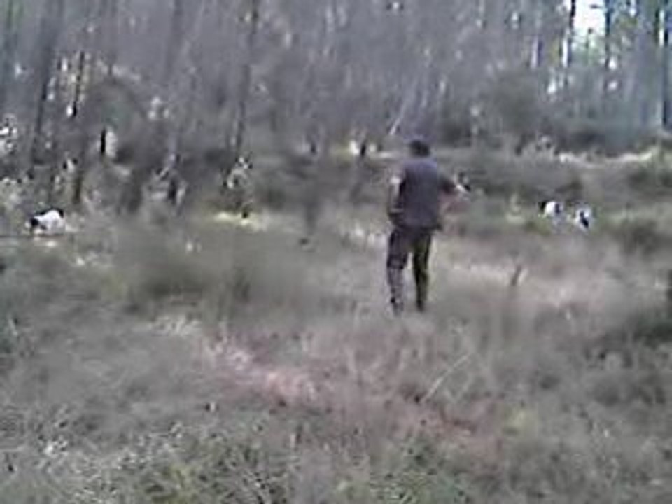 Chasse en famille !