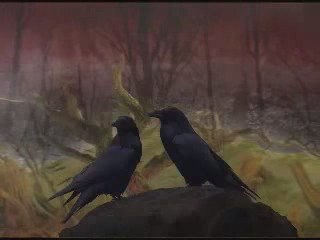Edgar Allan Poe's -The Raven