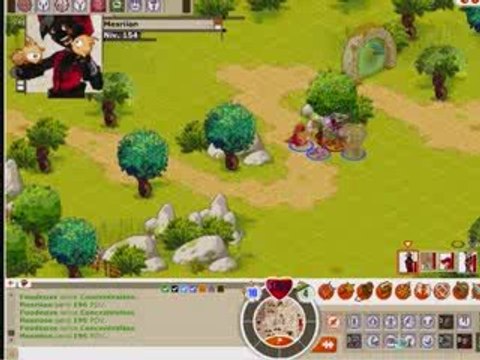 Dofus iop Terre 144 silouate