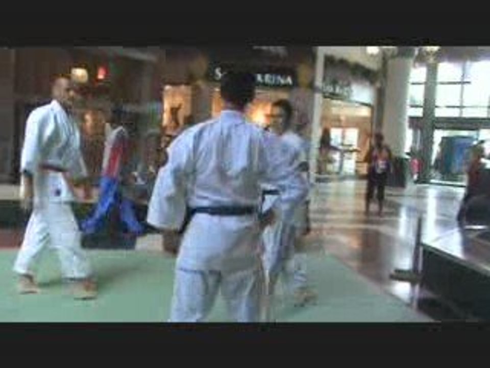 Démonstration du Nihon Tai-Jitsu en Martinique