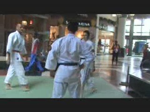 Démonstration du Nihon Tai-Jitsu en Martinique