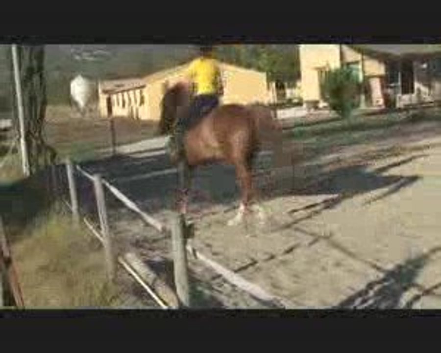 I want to Live in Paradise