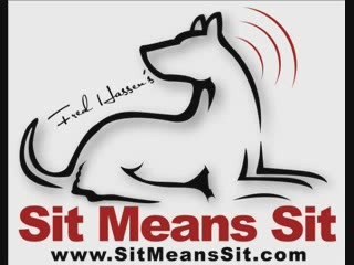 Police K9 Training - Scent Detection With Distraction