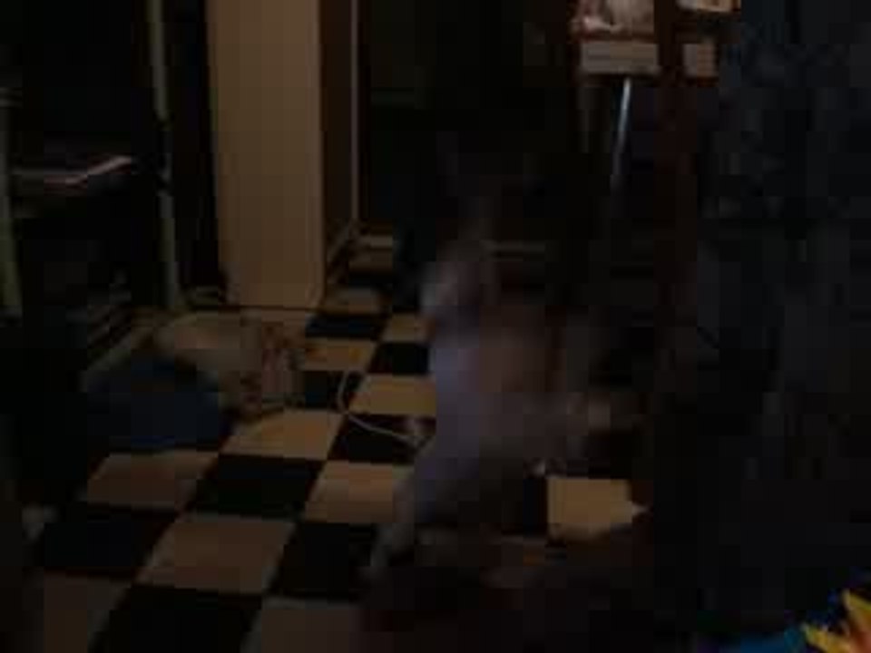 didi 5 oct 09 pirouéttes