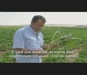 LLP L'argent chute en Argentine 1 sur 4