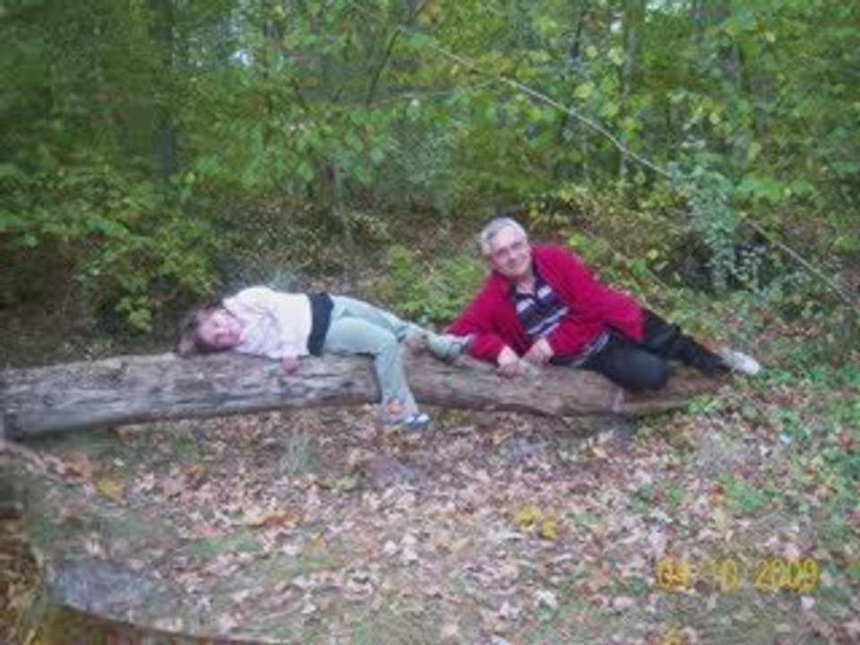 promenade dans les bois