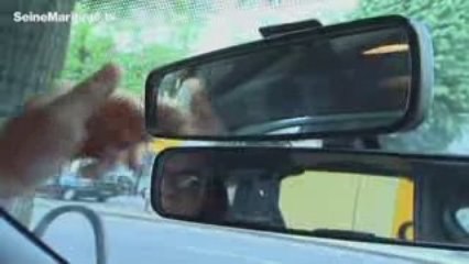 Journée de prévention à la sécurité routière