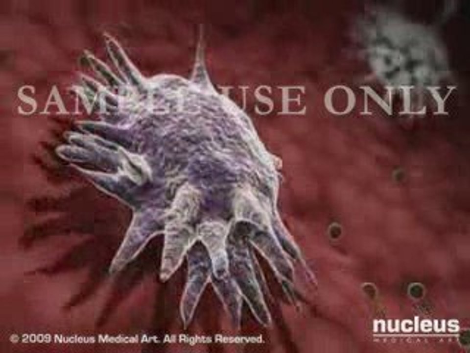 Oxidation of Low Density Lipoproteins (LDL)