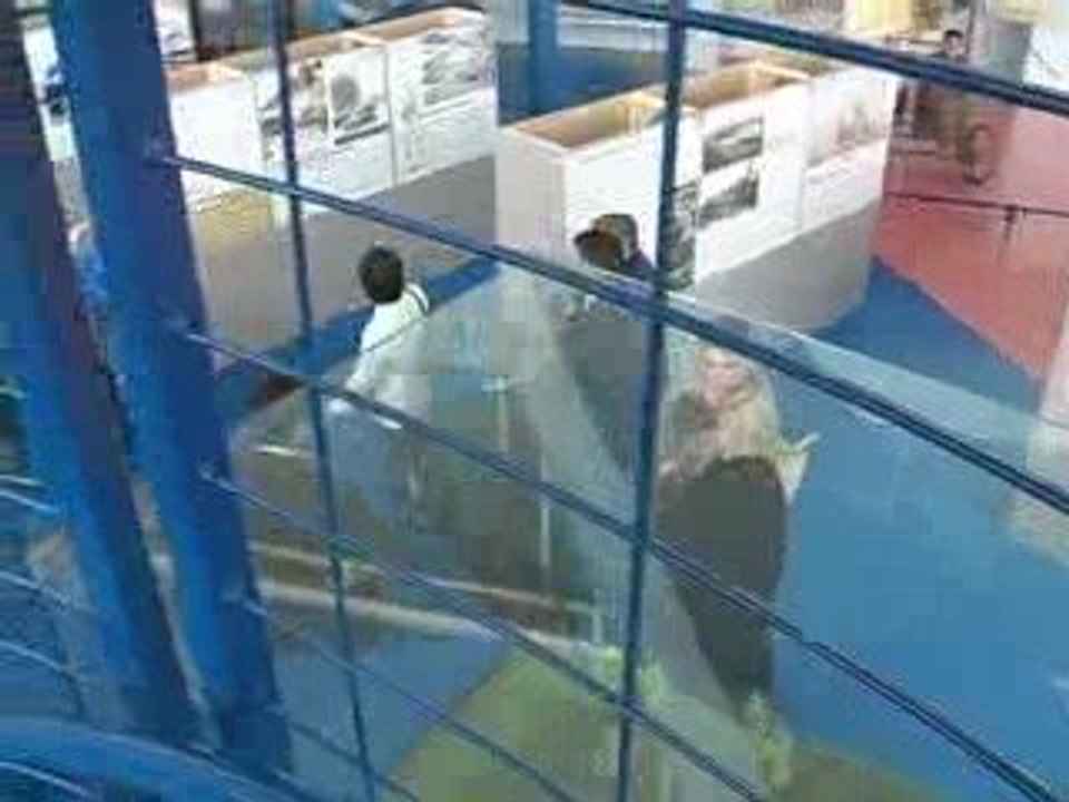 Et voilà le travail 2005