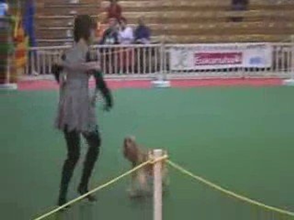 betty au GPF obérythmée