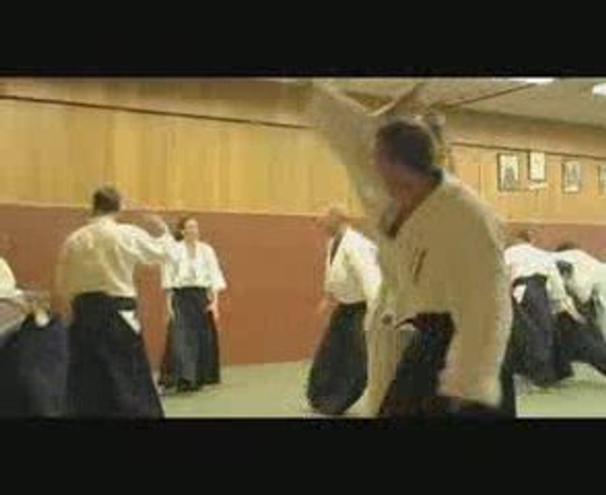 Reportage AIKIDO - FFAAA - Christian Tissier -