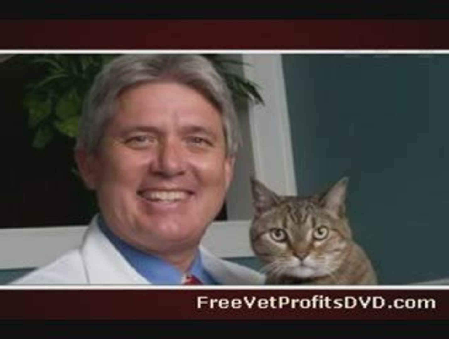 ⁣Veterinary Practice Marketing Business Coach