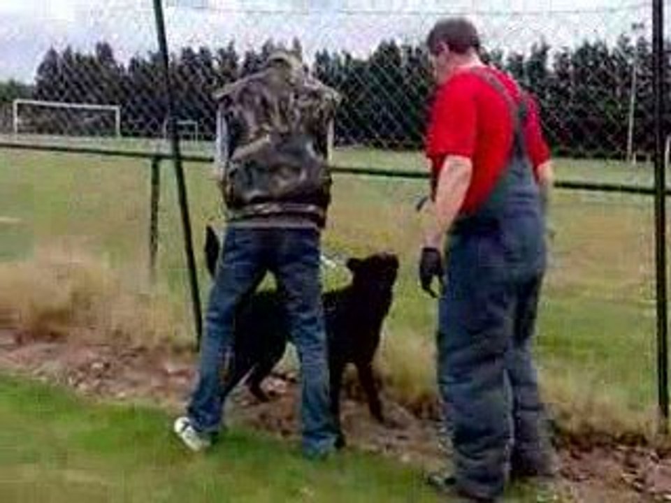 defense du maitre!!: c t la deuxiemme ou troisieme