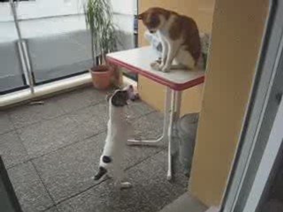 Une petite visite