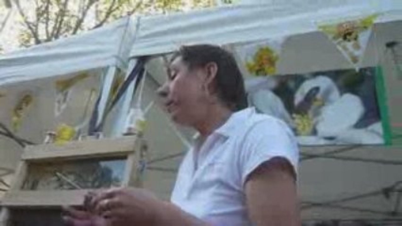 Video HQ !!! Toulouse  la clef  des champs 3 octobre 2009