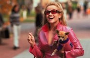 Watch Legally Blonde, Full Length - Part 1/12
