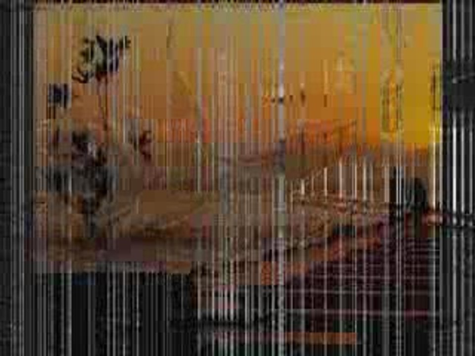 ibrahim sadri - nan gibi