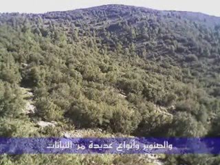 Taqsit n Ye3la ahric wis sin. حكاية يعلى الجزء الثاني