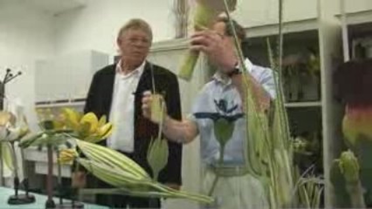 Botanique (Où sont passées les collections ?)