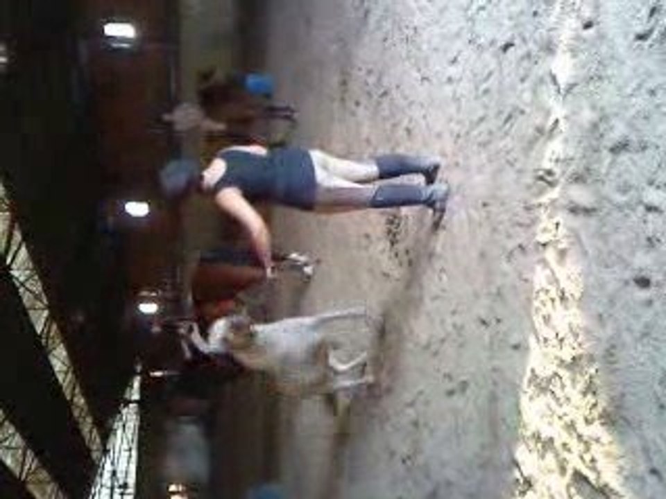Pepette cabre cour 1