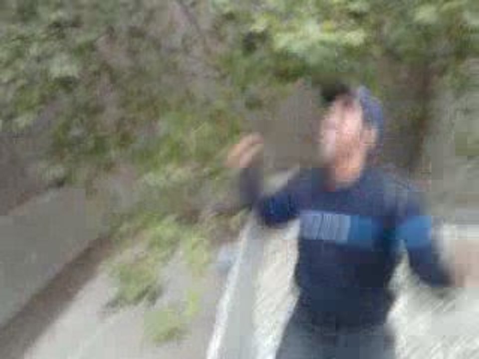 Police 3