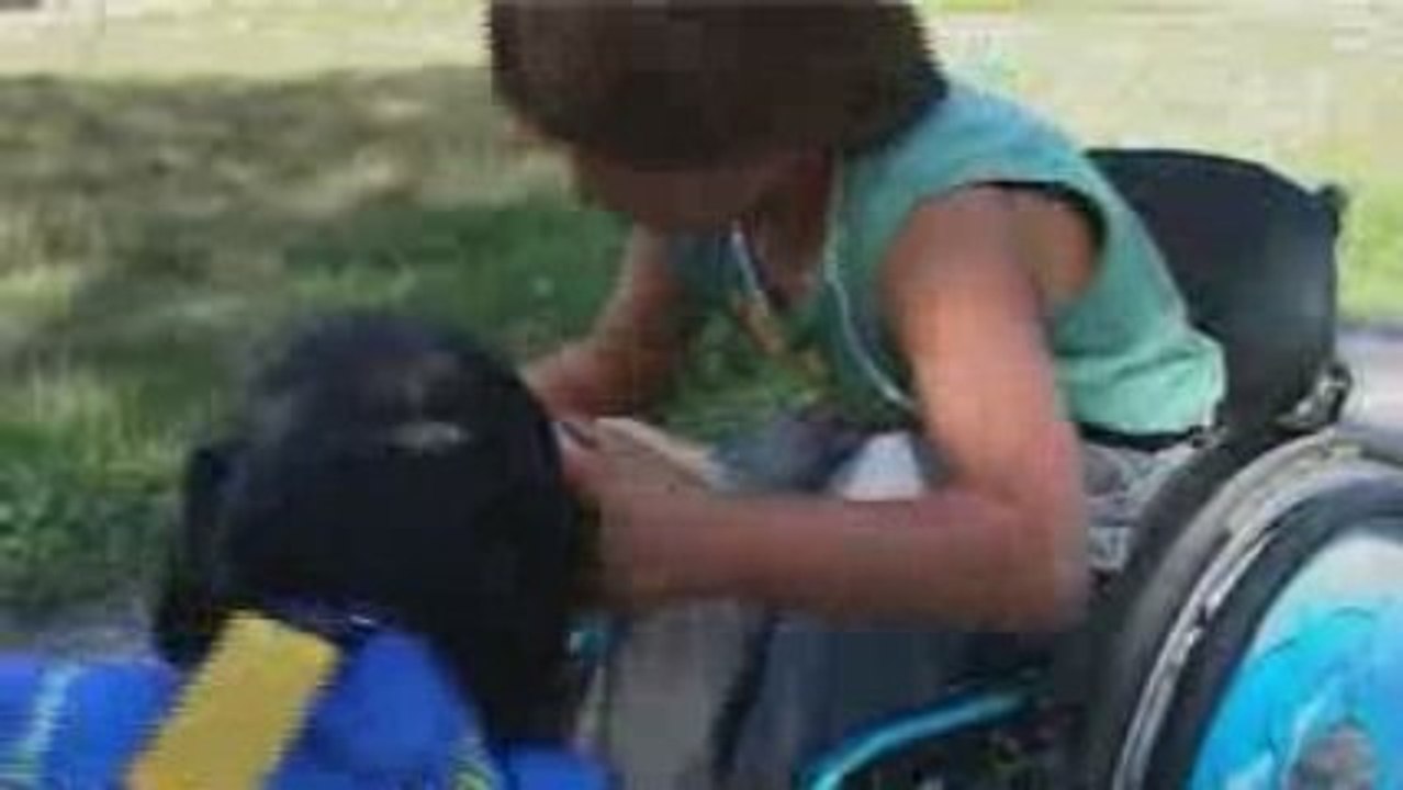 Handi Chiens fête ses 20 ans !