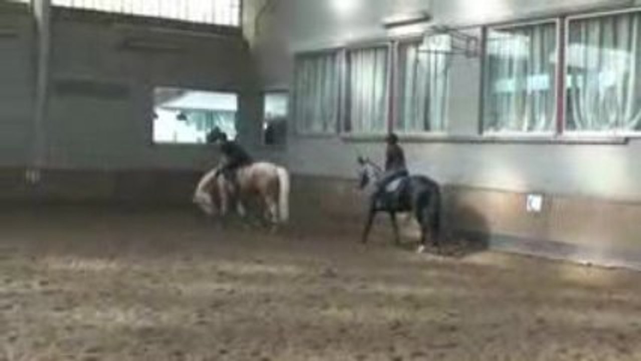 Triplé d'obstacles  pour charley