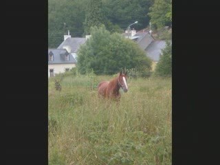 othello s'éclate ^^