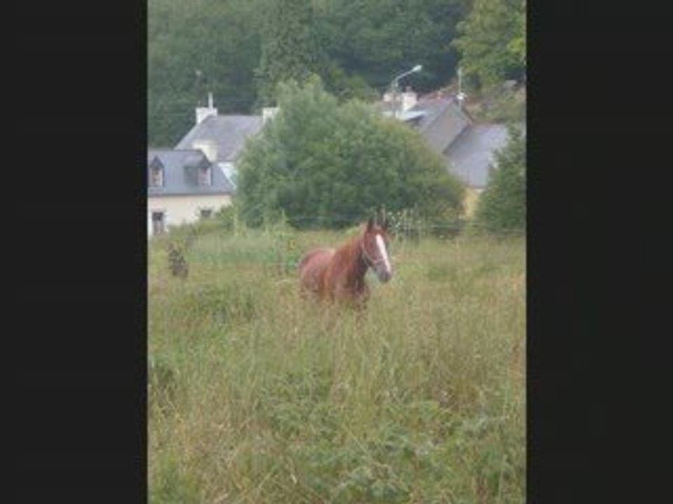 othello s'éclate ^^