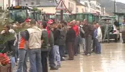 MANIFESTATION PAYSANNE A VESOUL (70)